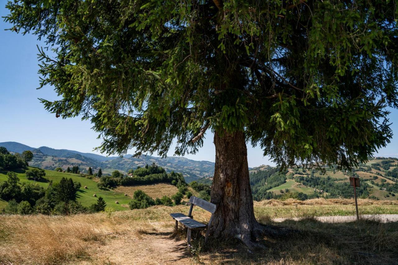 My Little Village Poiana Mărului Εξωτερικό φωτογραφία