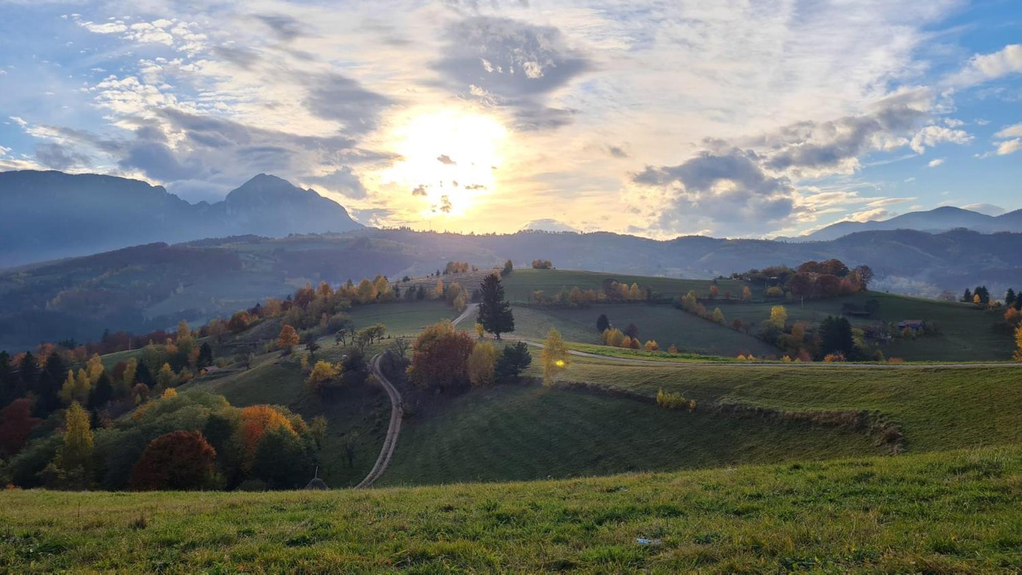 My Little Village Poiana Mărului Εξωτερικό φωτογραφία