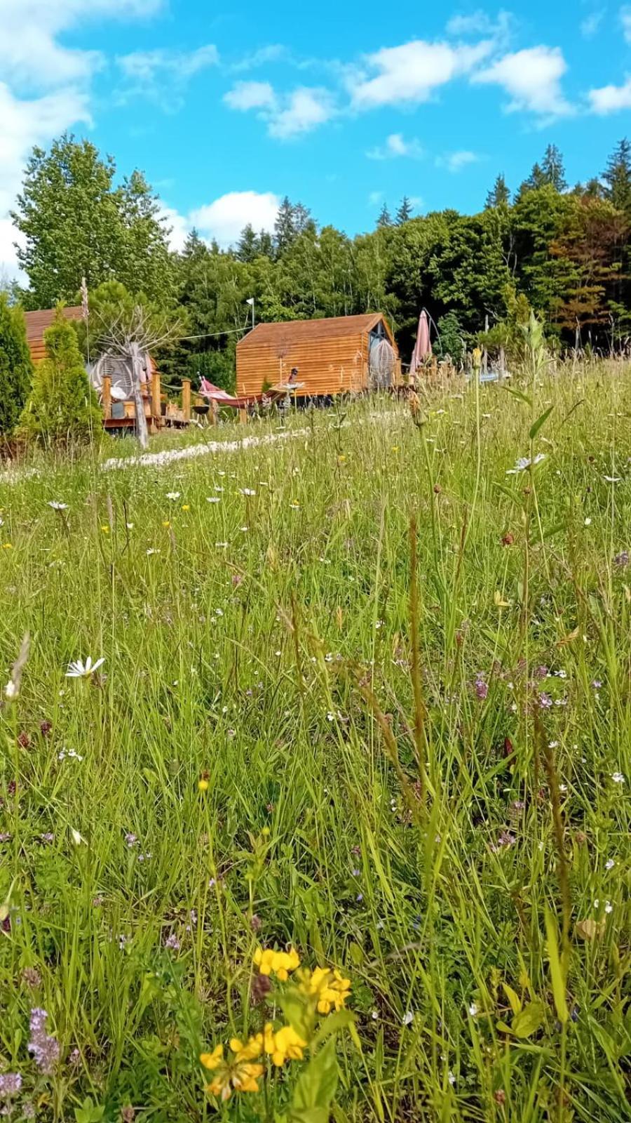 My Little Village Poiana Mărului Εξωτερικό φωτογραφία