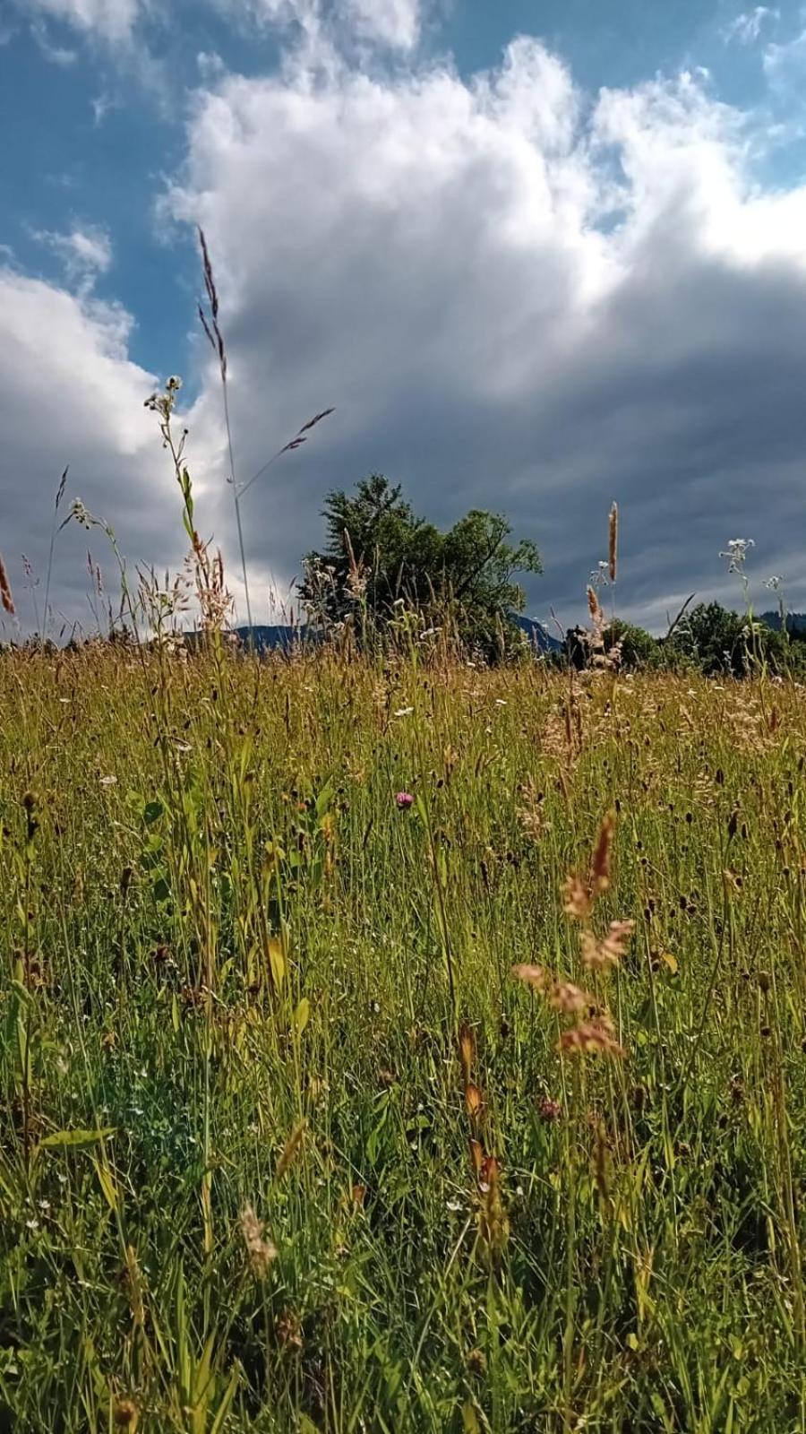 My Little Village Poiana Mărului Εξωτερικό φωτογραφία